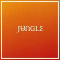 Виниловая пластинка JUNGLE - VOLCANO