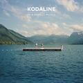 Виниловая пластинка KODALINE - IN A PERFECT WORLD - DELUXE (DELUXE EDITION, REISSUE, 2 LP)