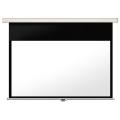 Lumien Master Picture CSR Matte White / White Body