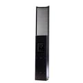 Настенная акустика MartinLogan EFX 230V