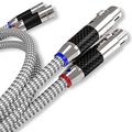 Кабель межблочный аналоговый Ricable Invictus XLR Reference