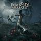 BLACK ROSE MAZE BLACK ROSE MAZE