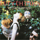 Виниловая пластинка EURYTHMICS - IN THE GARDEN (180 GR)