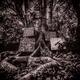KAMASI WASHINGTON KAMASI WASHINGTON