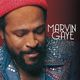 Виниловая пластинка MARVIN GAYE - COLLECTED (2 LP)