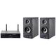 Стереокомплект Radiotehnika RTM01 + Radiotehnika S-20N Black