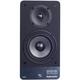 Активная полочная акустика Radiotehnika S-20NA MKII Black Ash (уценённый товар)