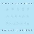 Виниловая пластинка STIFF LITTLE FINGERS - BBC LIVE IN CONCERT (LIMITED, COLOUR, 2 LP, 180 GR)