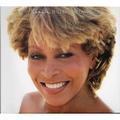 TINA TURNER - WILDEST DREAMS (LIMITED EDITION, 2 CD)