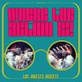 Виниловая пластинка VARIOUS ARTISTS - WHERE THE ACTION IS! LOS ANGELES NUGGETS HIGHLIGHTS (2 LP)