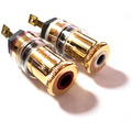 �������������� ����������� ��������� ������������� WBT 0710 KIT (2 ��.) (1)