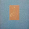 Виниловая пластинка XTC - SKYLARKING (200 GR)