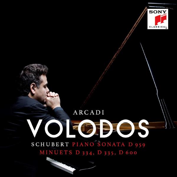 Arcadi Volodos Arcadi Volodos - Schubert: Piano Sonata D.959 Minuets D (2 LP) цена Arcadi Volodos Arcadi Volodos - Schubert: Piano Sonata D.959 Minuets D (2 LP) цены онлайн