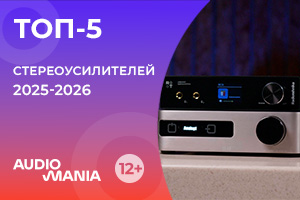 Топ-5 популярных стереоусилителей 2025-2026 года