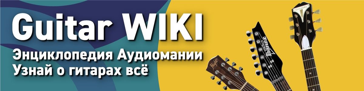 Guitar Wiki