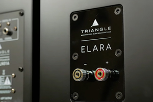 Обзор активной акустики Triangle ELARA LN01A