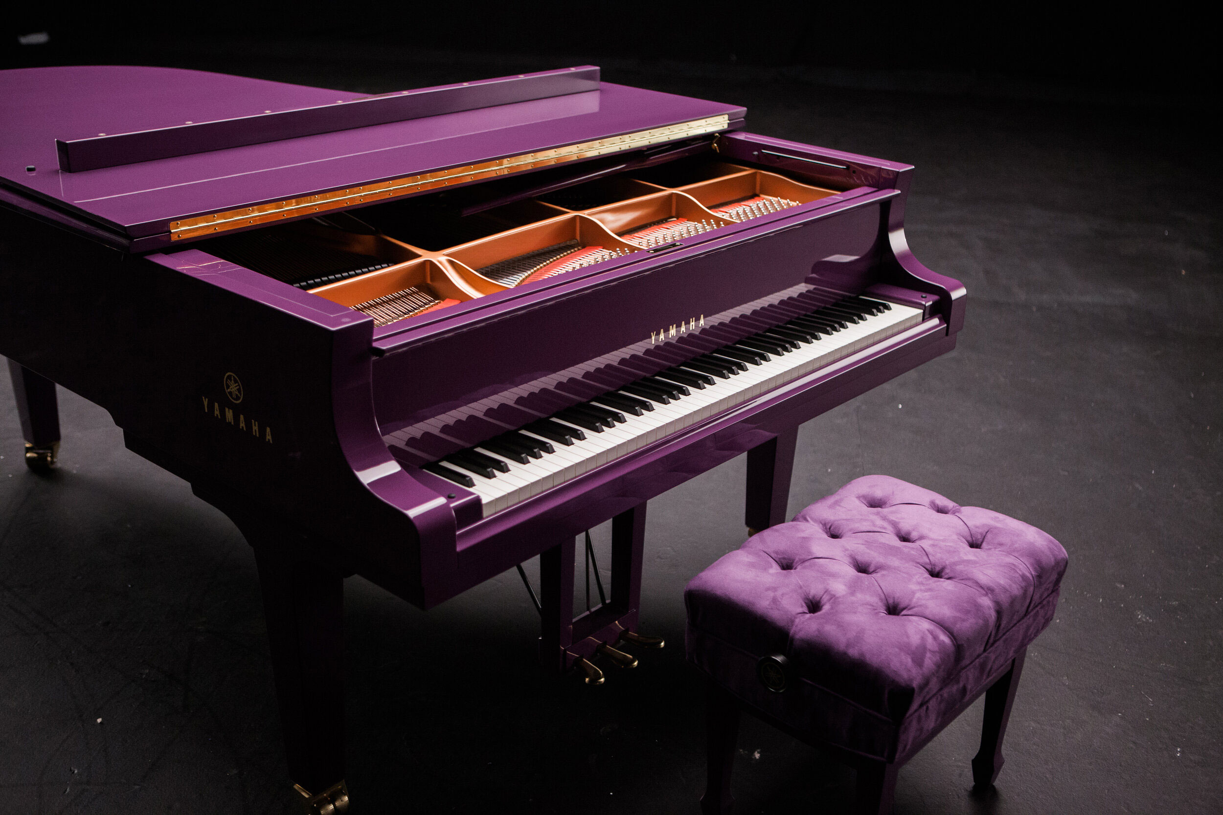 Фиолетовый рояль Принса впервые покажут широкой публике на NAMM 2024