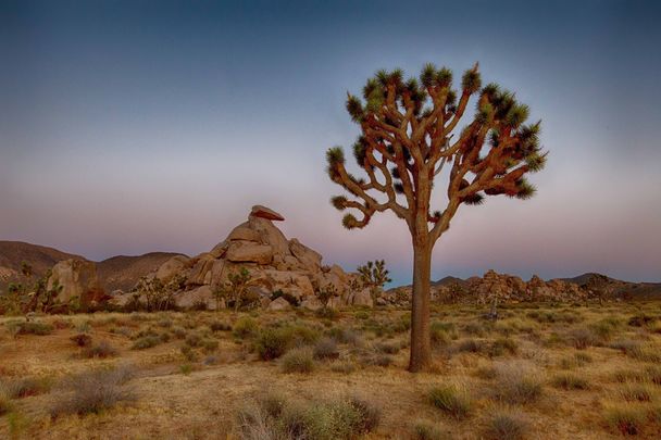 Грэм Парсонс: история сдержанного обещания