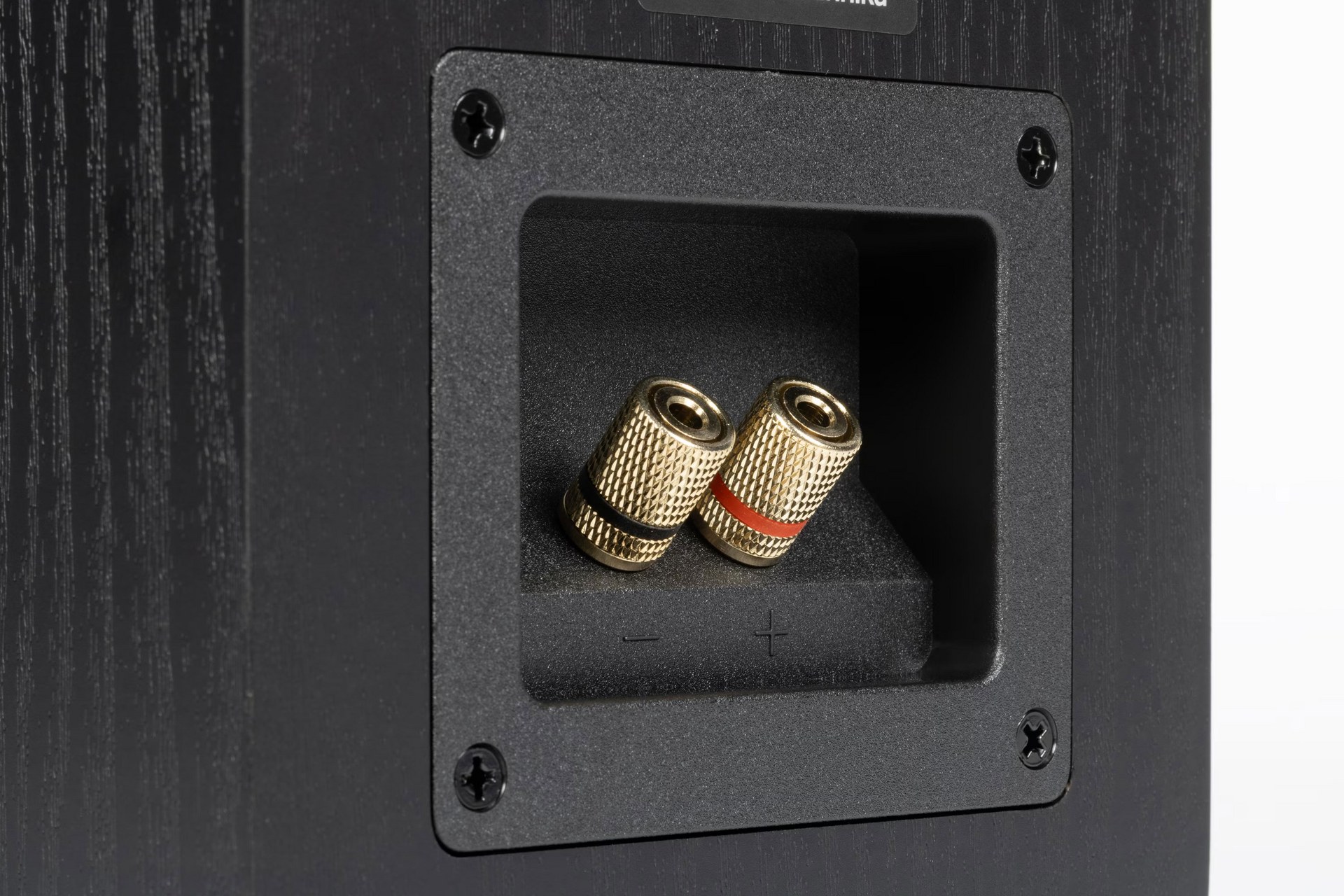 Обзор активной полочной акустики Radiotehnika S-10NA и сабвуфера Alfa 1.05 / ixbt.com