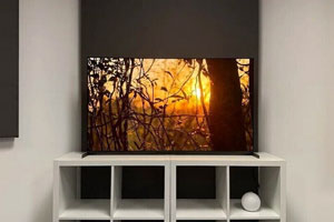 Sony и TCL официально объявили о слиянии в сфере производства ТВ и создании компании Bravia Inc.