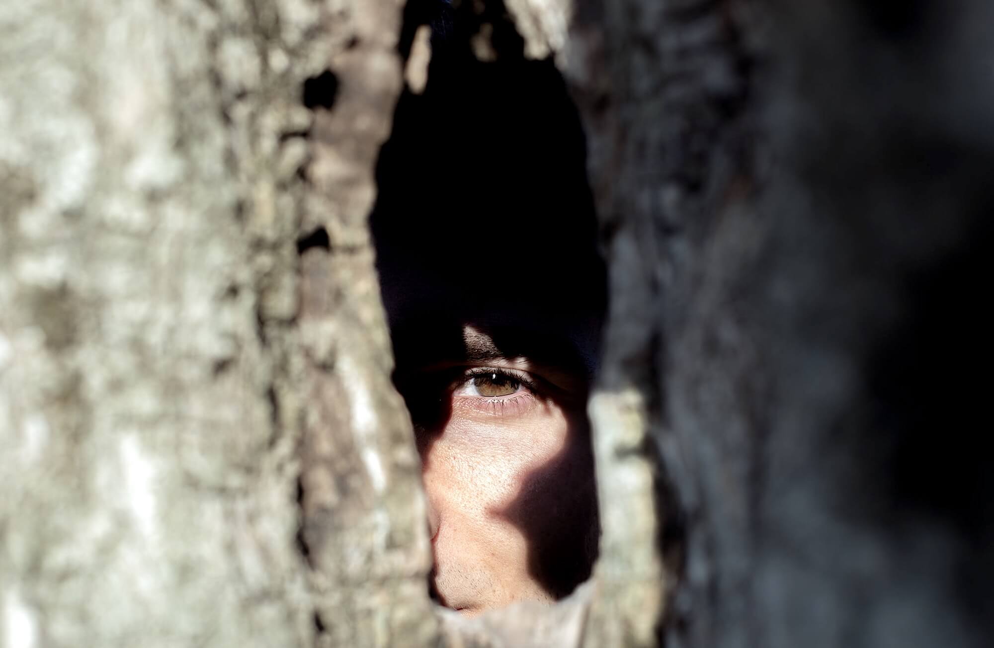 Фото человеческого глаза сквозь дупло дерева
