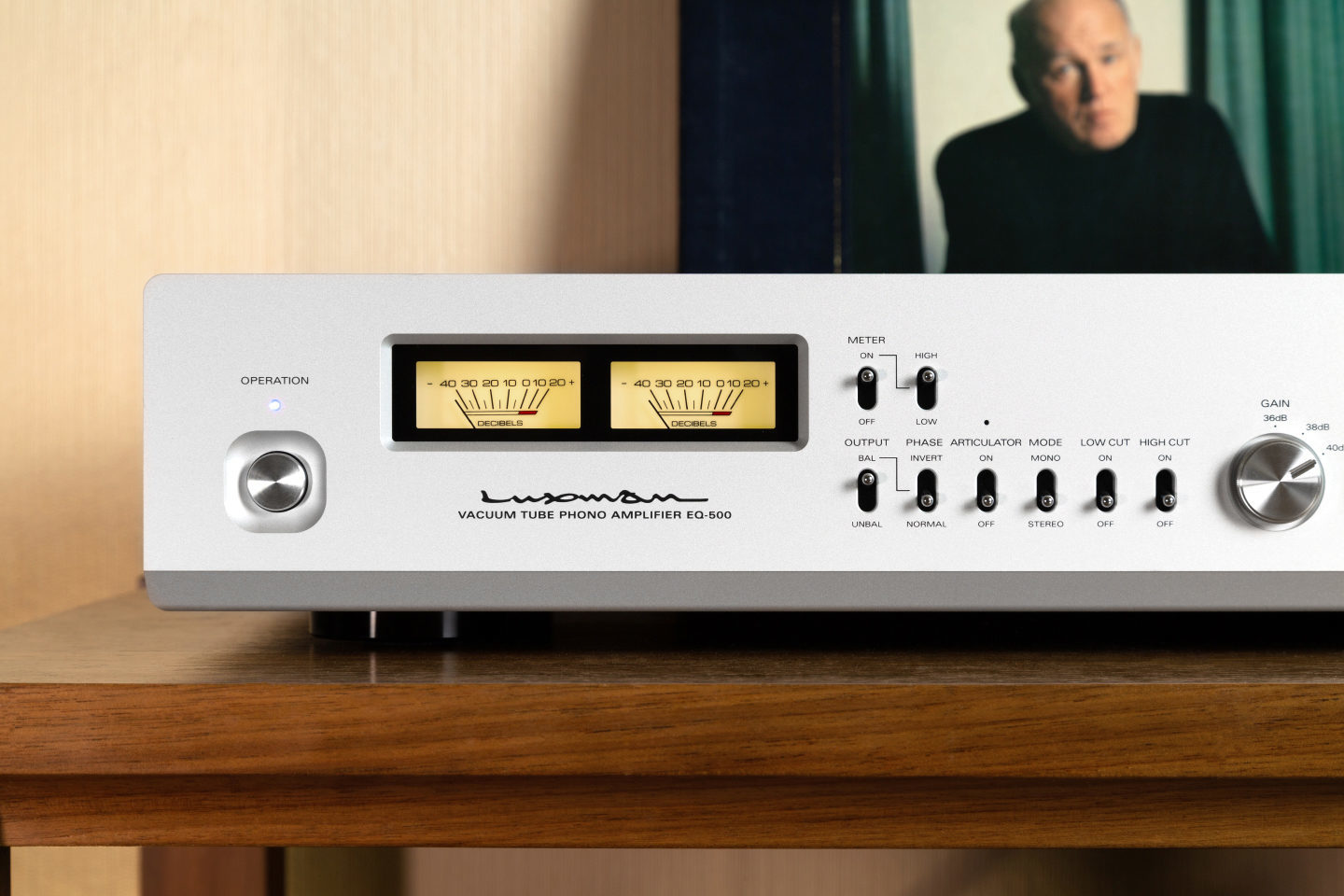 Фонокорректор Luxman E 250 Купить