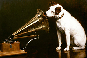 Пушистая сторона музыкальной индустрии: очаровательная собака с логотипа RCA