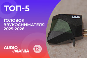 Топ-5 головок звукоснимателя 2025-2026