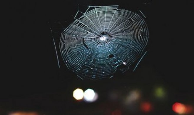 Фото с фокусировкой на паутине в темное время суток