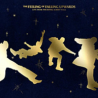Виниловая пластинка 5 SECONDS OF SUMMER - THE FEELING OF FALLING UPWARDS (LIVE FROM THE ROYAL ALBERT HALL) (2 LP)