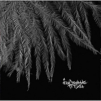 Виниловая пластинка СОСТОЯНИЕ ПТИЦ - ДИСКОГРАФИЯ (COLOUR, 2 LP, 180 GR)