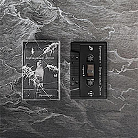 Компакт - кассета ПРОТОПРИКУС - ВЕРТИКАЛЬНЫЙ ДИПЛОП (LIMITED)