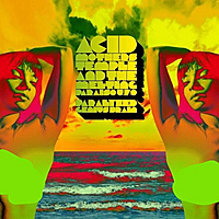 Виниловая пластинка ACID MOTHERS TEMPLE & THE MELTING PARAISO UFO - PARALYZED GENIUS BRAIN (LIMITED, COLOUR, 2 LP)
