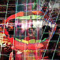Виниловая пластинка ANIMAL COLLECTIVE - CENTIPEDE HZ (2 LP)