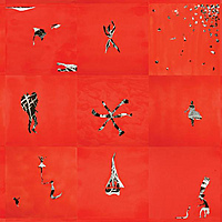 Виниловая пластинка ANIMAL COLLECTIVE - HOLLINNDAGAIN