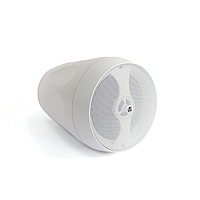 Подвесной громкоговоритель AuraSonics FLORET-5T