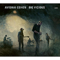 Виниловая пластинка AVISHAI COHEN - BIG VICIOUS (180 GR)