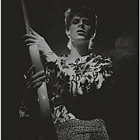 Виниловая пластинка DAVID BOWIE - ROCK'N'ROLL STAR
