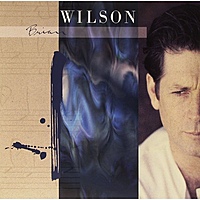 Виниловая пластинка BRIAN WILSON - BRIAN WILSON. EXTENDED VERSION (2 LP, COLOUR)