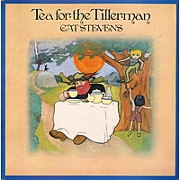 Виниловая пластинка CAT STEVENS - TEA FOR THE TILLERMAN (50TH ANNIVERSARY)
