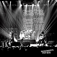 Виниловая пластинка CHEAP TRICK - ARE YOU READY OR NOT? LIVE AT THE FORUM 12/31/79 (LIMITED, 2 LP)
