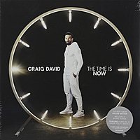 Виниловая пластинка CRAIG DAVID - THE TIME IS NOW (2 LP)