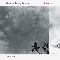 Виниловая пластинка DANISH STRING QUARTET - LAST LEAF (180 GR)