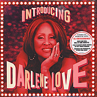 Виниловая пластинка DARLENE LOVE - INTRODUCING DARLENE LOVE (2 LP, 180 GR)