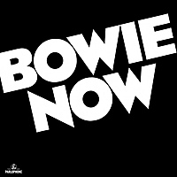 Виниловая пластинка DAVID BOWIE - BOWIE NOW (180 GR)