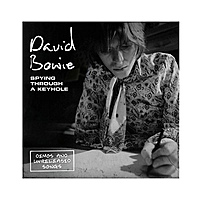 Виниловая пластинка DAVID BOWIE - SPYING THROUGH A KEYHOLE (DEMOS AND UNRELEASED SONGS) (4x7")