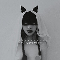 Виниловая пластинка DAVID SYLVIAN - SLEEPWALKERS (2 LP, 180 GR)