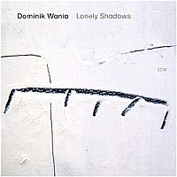 Виниловая пластинка DOMINIK WANIA - LONELY SHADOWS