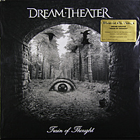 Виниловая пластинка DREAM THEATER - TRAIN OF THOUGHT (2 LP, 180 GR)