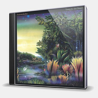 CD-диск FLEETWOOD MAC - TANGO IN THE NIGHT